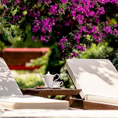 Luna Begonvil Tas Evler 3*