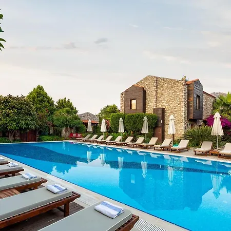 Luna Begonvil Tas Evler Selimiye