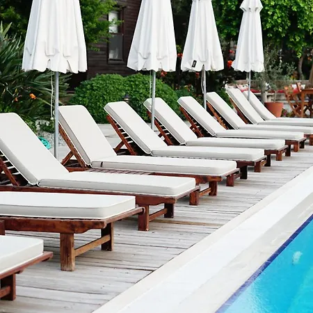 Luna Begonvil Tas Evler Selimiye