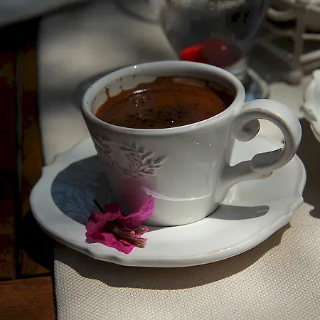 Luna Begonvil Tas Evler Otel 3*